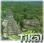 Splendid Tikal Tour, in Guatemala