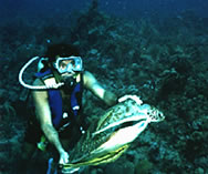 Placencia Peninsula