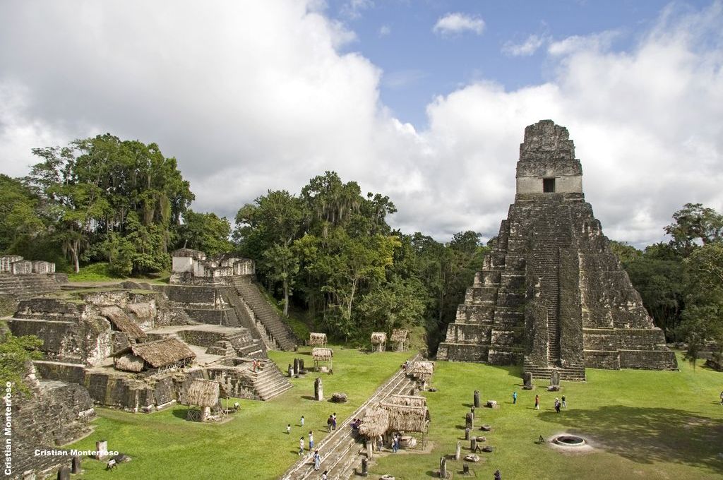 tikal guatemala peten jaguar